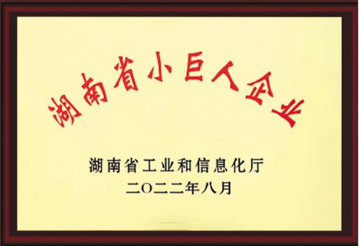 湖南省小巨人企业